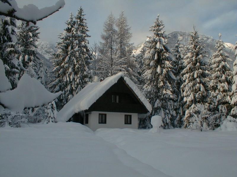 Apartmaji In Sobe Bohinjsko Jezero Ukanc Bagian luar foto