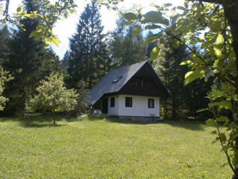 Apartmaji In Sobe Bohinjsko Jezero Ukanc Bagian luar foto